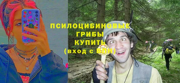 mdpv Приозерск