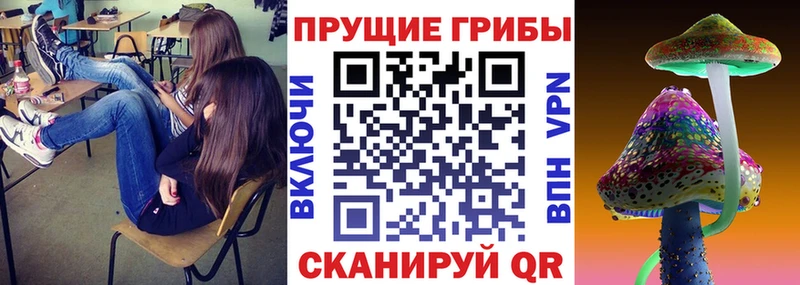 Галлюциногенные грибы ЛСД  цены   MEGA ТОР  Заозёрный 